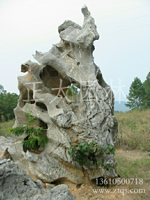 廣東英德·正太園林