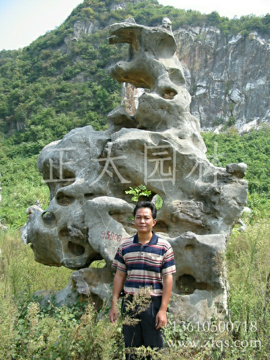 廣東英德·正太園林