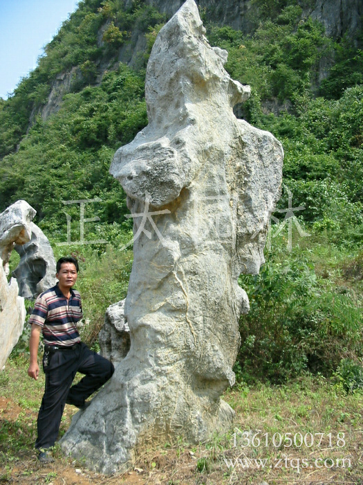 廣東英德·正太園林