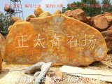  3.6米寬臥石黃蠟石、廣東產(chǎn)地直銷 編號1216