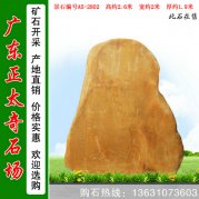 2.6米高廣東黃蠟石 廠家批發(fā)刻字石 編號A5-2802