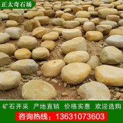  產(chǎn)地直銷黃蠟石 打磨平面石 凳子石 景區(qū)休閑石