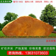  4.9米寬 廣東產(chǎn)地直銷黃蠟石 景觀石 編號(hào)C-0452