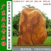  1.8米高立石園林點(diǎn)綴景觀黃蠟石 編號M-5117