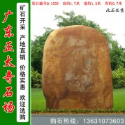  1.7米高產(chǎn)地黃蠟石價(jià)格 園林景觀石 編號Q-1559