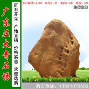 3.1高天然景觀園林刻字綠化黃蠟石 編號X-5159