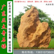 5米高廣東景觀石 天然黃蠟石 風(fēng)水石 編號(hào)R-5411