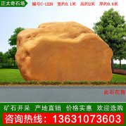 3米寬黃蠟石產(chǎn)地批發(fā) 校園文化石 編號C-1228