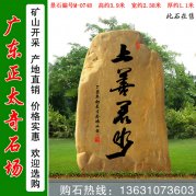 3.9米高廣東黃蠟石 刻字文化石 編號M-0748