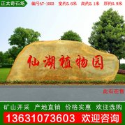 5.6米寬園林黃蠟石 景區(qū)公園刻字石 編號(hào)A7-1003