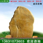 2.9米產(chǎn)地直銷天然黃蠟石 村牌刻字石編號4509