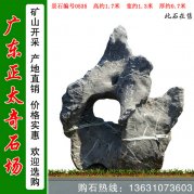 觀(guān)賞太湖石 園林點(diǎn)景置石 編號(hào)0535