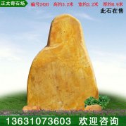 3.2米高廣東景觀黃蠟石 公園小區(qū)擺放石 編號(hào)24