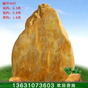 5.3米高大型黃蠟石 村口景區(qū)標志石 編號4447